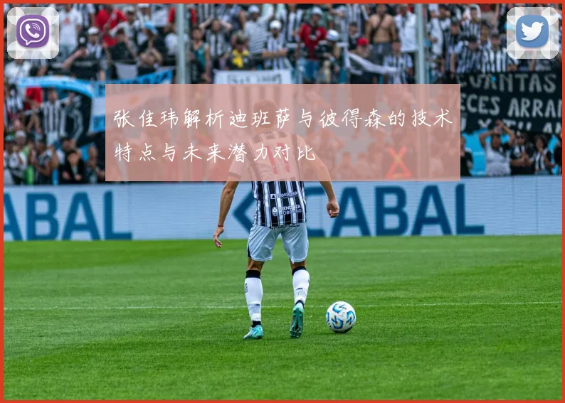 张佳玮解析迪班萨与彼得森的技术特点与未来潜力对比